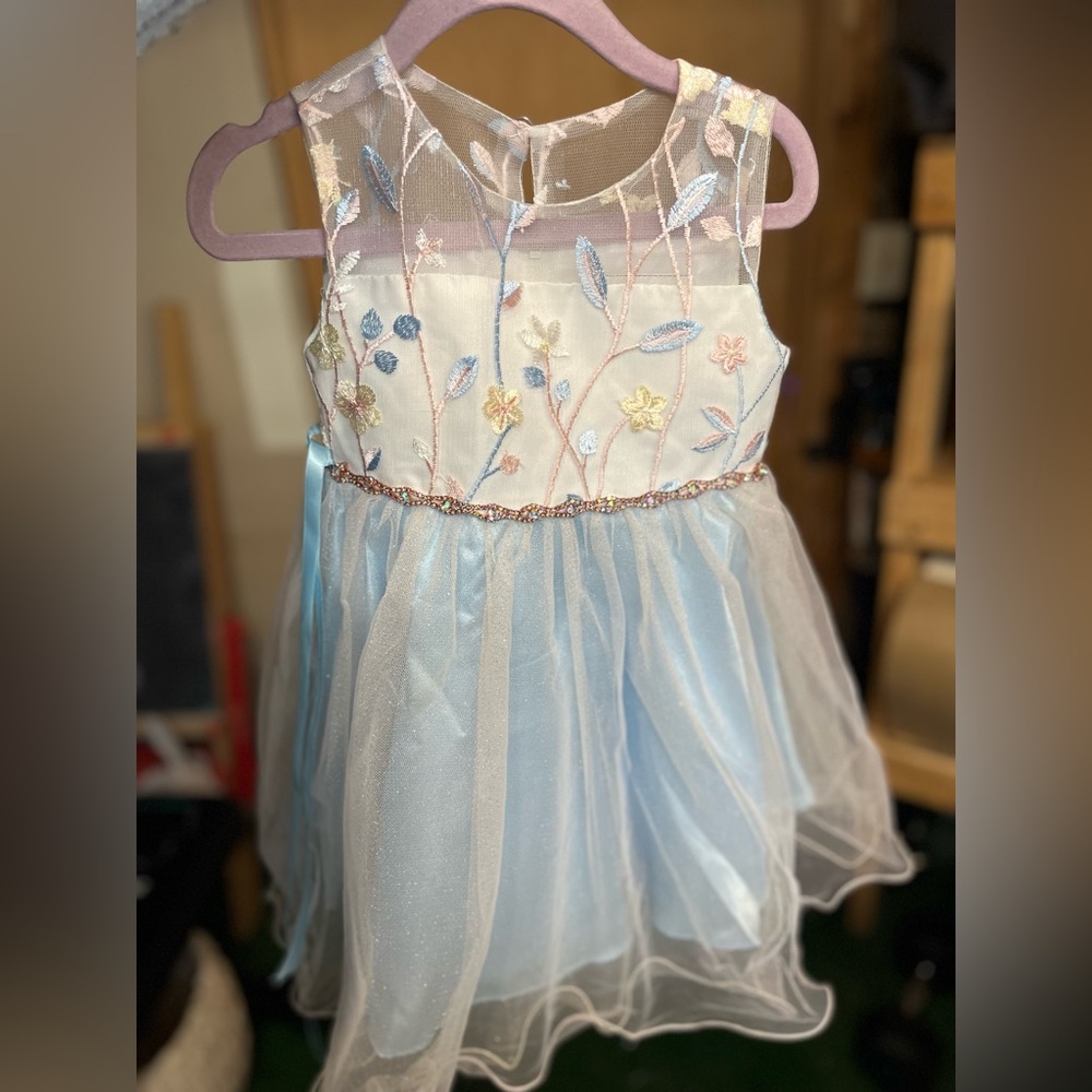 Embroidered Floral Tulle Dress 2T